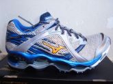 Mizuno wave prophecy