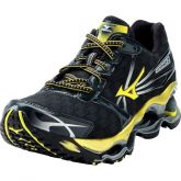 Mizuno wave prophecy 2